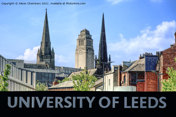 University Of Leeds Picture Board by Alison Chambers