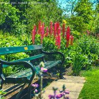 Buy canvas prints of Summer Bench by Alison Chambers