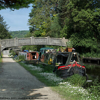 Buy canvas prints of Summer on the Rochdale Canal by Alison Chambers