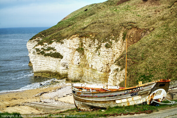 Flamborough North Landing, Yorkshire Coast Picture Board by Alison Chambers