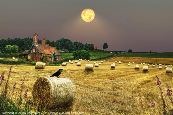 Harvest Moon Picture Board by Alison Chambers