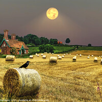 Buy canvas prints of Harvest Moon by Alison Chambers