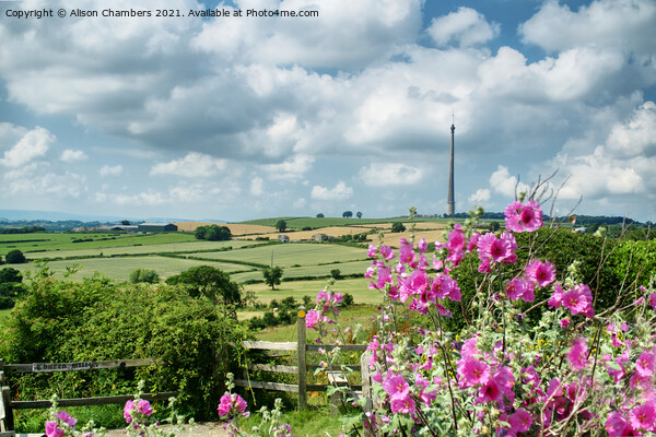 Emley Moor Mast Picture Board by Alison Chambers