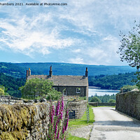 Buy canvas prints of The Strines by Alison Chambers