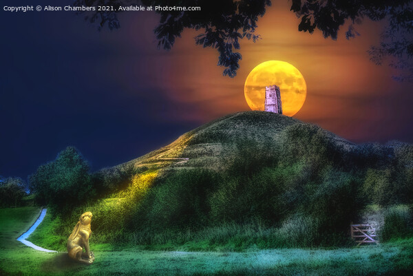 Moon Gazing Hare At Glastonbury Tor Picture Board by Alison Chambers
