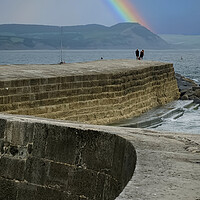 Buy canvas prints of The Cobb Lyme Regis by Alison Chambers