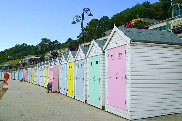Lyme Regis Beach Huts Picture Board by Alison Chambers