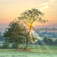 Buy canvas prints of Axminster Landscape at Dawn by Alison Chambers