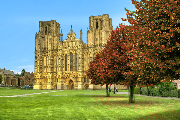 Wells Cathedral Autumn Trees Picture Board by Alison Chambers