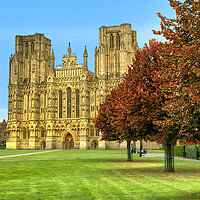Buy canvas prints of Wells Cathedral Autumn Trees by Alison Chambers