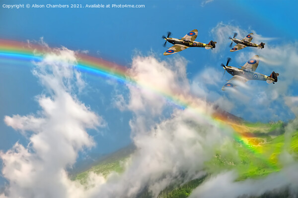 Somewhere Over The Rainbow Spitfires Fly Picture Board by Alison Chambers
