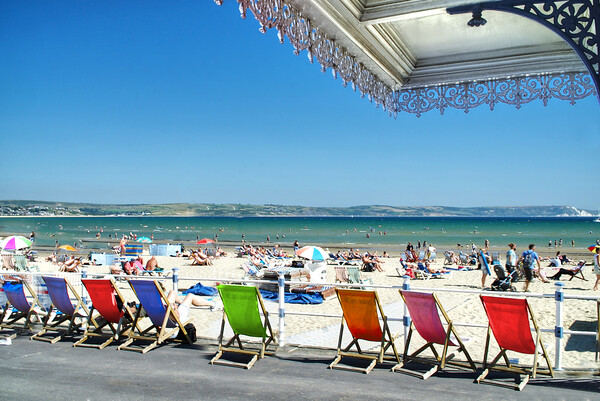 Weymouth Deckchairs Picture Board by Alison Chambers