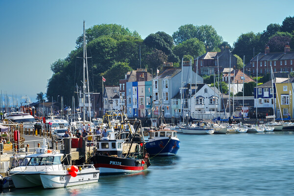 Beautiful Weymouth Harbour  Picture Board by Alison Chambers