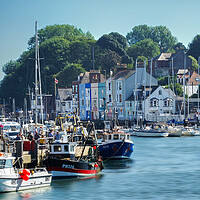 Buy canvas prints of Beautiful Weymouth Harbour  by Alison Chambers