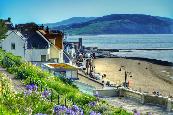 Lyme Regis View Picture Board by Alison Chambers