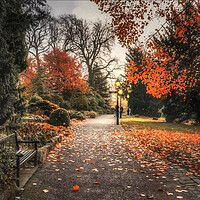 Buy canvas prints of Museum Gardens York by Alison Chambers