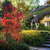 Buy canvas prints of Cotswold Autumnal Cottage by Alison Chambers