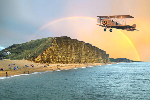 Tiger Moth At West Bay Picture Board by Alison Chambers