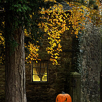 Buy canvas prints of Pumpkin Glow by Alison Chambers