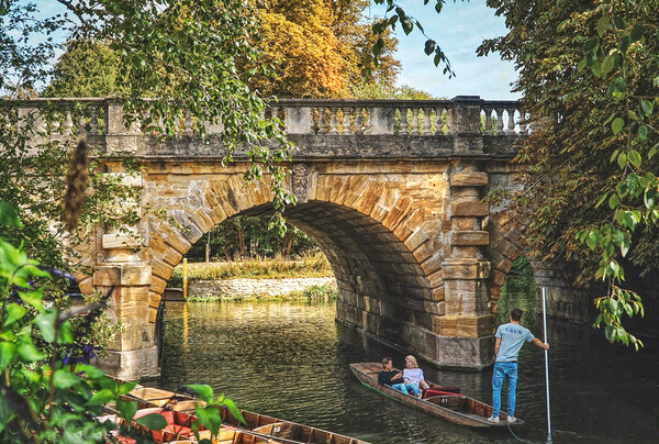 Oxford Punts On River Cherwell Picture Board by Alison Chambers