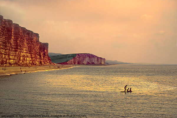 Sunset Paddle Boarders At West Bay  Picture Board by Alison Chambers