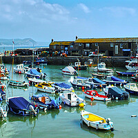 Buy canvas prints of Lyme Regis Harbour Panorama by Alison Chambers