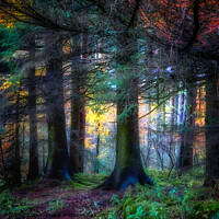 Buy canvas prints of Colourful Autumn At Langsett Woods by Alison Chambers