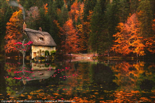 Cottage At Autumn Glory Lake Picture Board by Alison Chambers