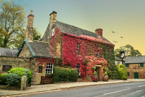 Wentworth Rockingham Arms In Autumn Picture Board by Alison Chambers