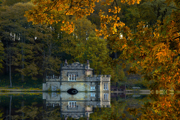 Newmillerdam Boathouse In Autumn Picture Board by Alison Chambers