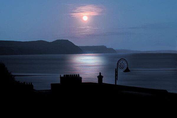 Lyme Regis By Moonlight  Picture Board by Alison Chambers