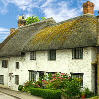 Buy canvas prints of Ilminster Thatched Cottages by Alison Chambers