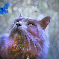 Filter this page on Animals Cats wall art