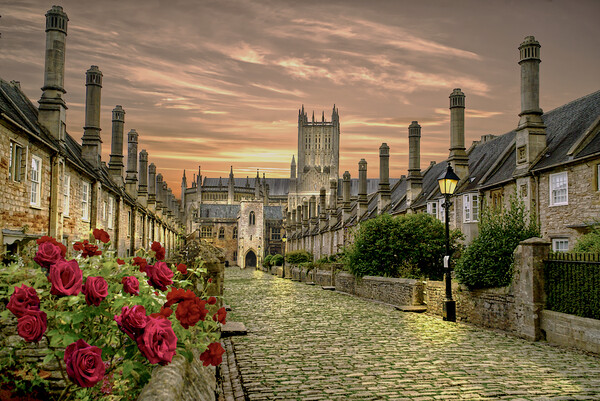 Vicars Close In Wells Picture Board by Alison Chambers