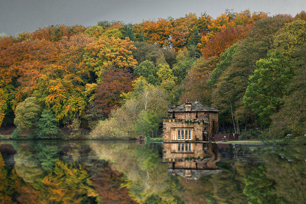 Newmillerdam Boathouse and Autumn Trees Picture Board by Alison Chambers