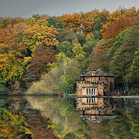 Buy canvas prints of Newmillerdam Boathouse and Autumn Trees by Alison Chambers
