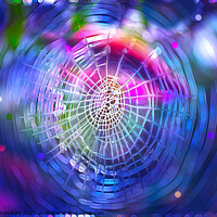 Buy canvas prints of Web of Dreams by Alison Chambers