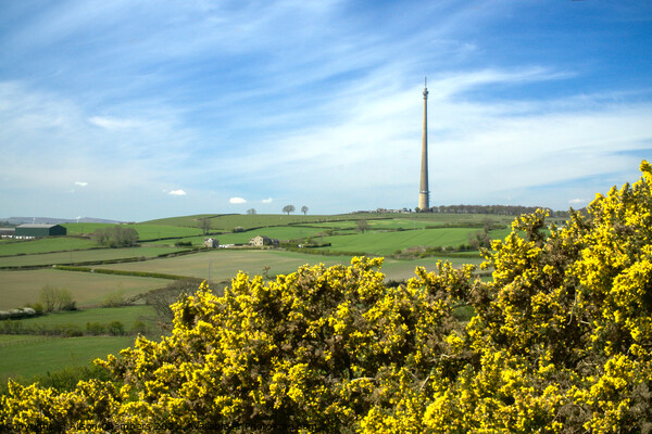 Emley Moor Mast View Picture Board by Alison Chambers