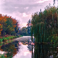 Buy canvas prints of Elsecar Canal by Alison Chambers