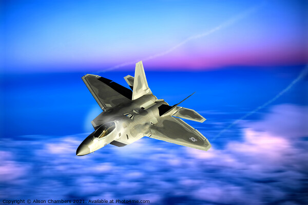 F22 Raptor Picture Board by Alison Chambers