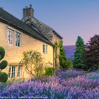 Buy canvas prints of Sunrise At Lavender Cottage by Alison Chambers