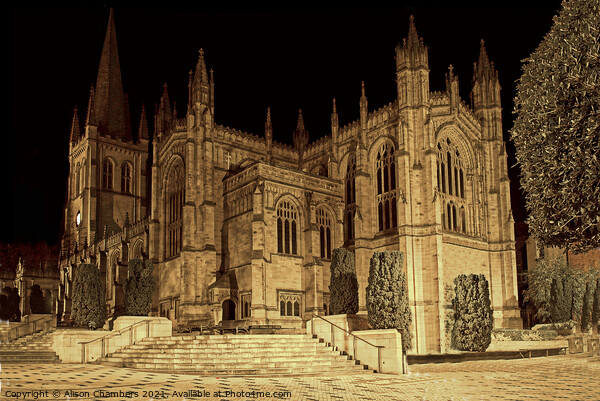 Wakefield Cathedral At Night Picture Board by Alison Chambers
