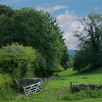 Buy canvas prints of Lathkill Dale by Alison Chambers