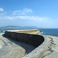 Buy canvas prints of Lyme Regis The Cobb  by Alison Chambers