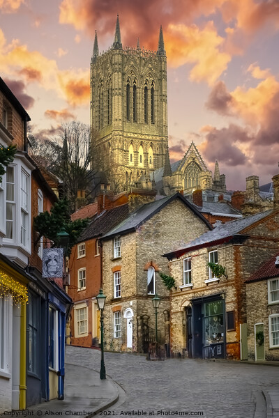 Lincoln Cathedral From Steep Hill Portrait  Picture Board by Alison Chambers