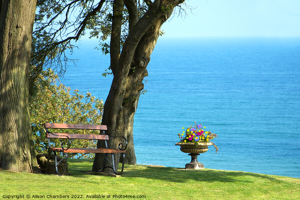 A Garden By The Sea In Lyme Regis  Picture Board by Alison Chambers