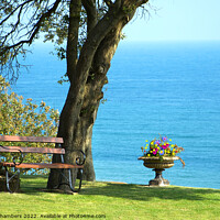 Buy canvas prints of A Garden By The Sea In Lyme Regis  by Alison Chambers