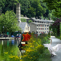 Buy canvas prints of Spreading Ones Wings In Hebden Bridge by Alison Chambers