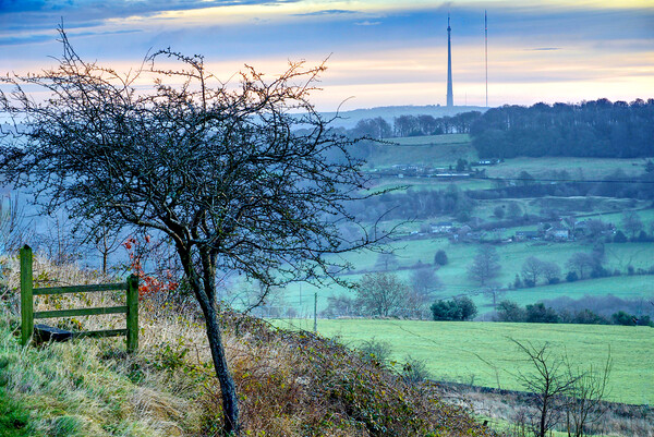  Emley Moor View Picture Board by Alison Chambers