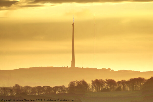 Golden Dawn At Emley Moor Picture Board by Alison Chambers